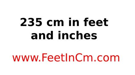 235 cm to feet|235cm in feet uk.